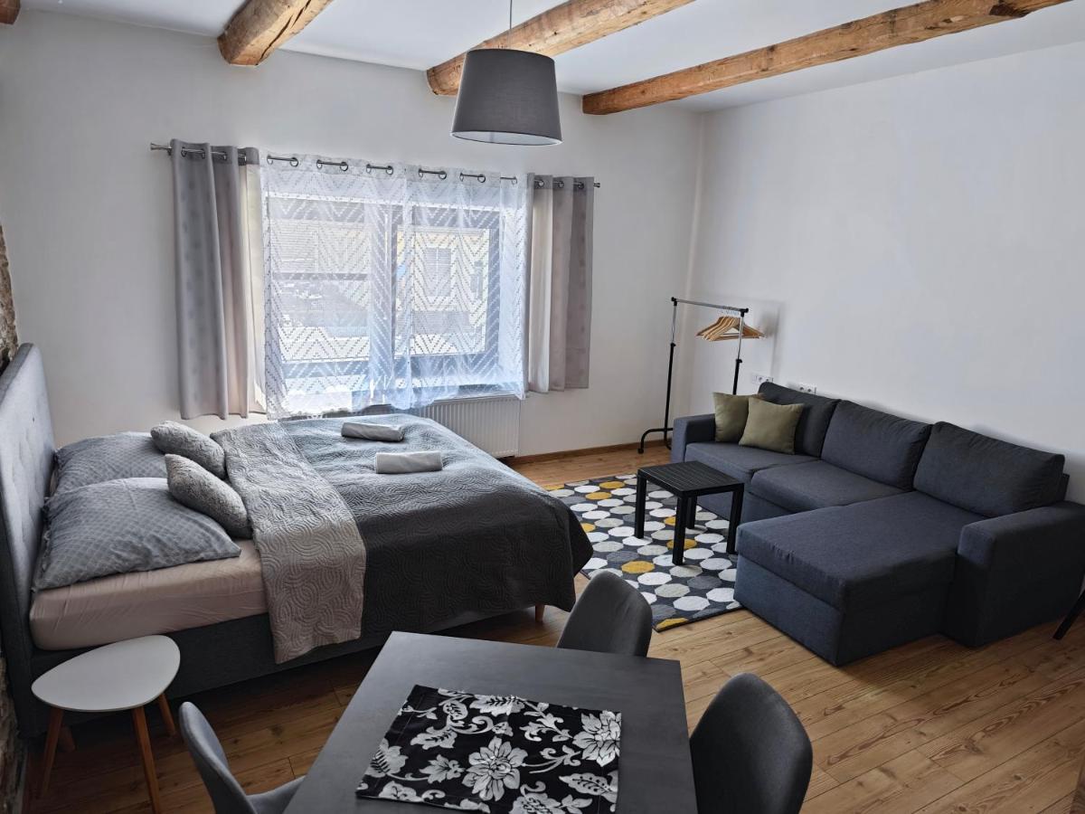 Apartmany 91 Boží Dar מראה חיצוני תמונה