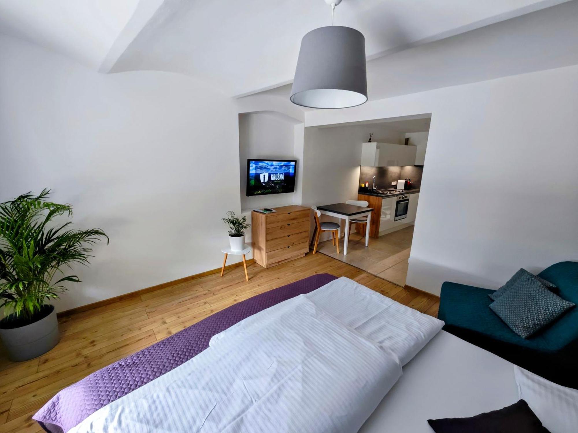 Apartmany 91 Boží Dar חדר תמונה